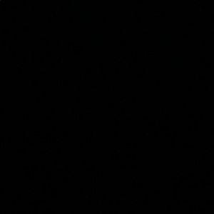 Meet your Posher, Timmy